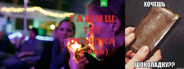 гидра Елабуга