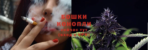 гидра Елабуга