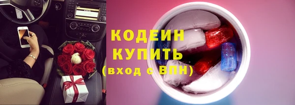 амф Ельня