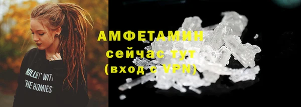 гидра Елабуга