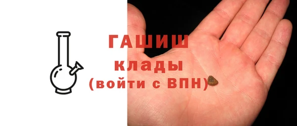гидра Елабуга