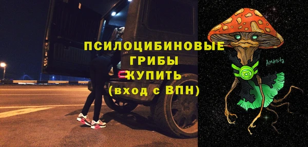 амф Ельня