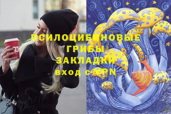 тгк Елизово