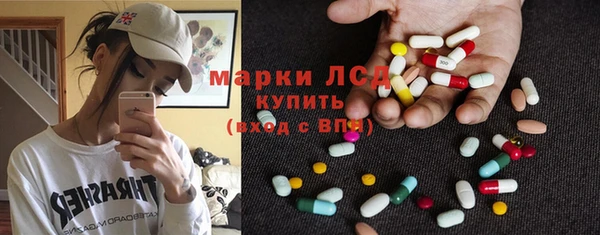 амф Ельня
