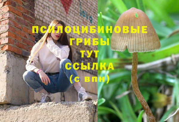тгк Елизово