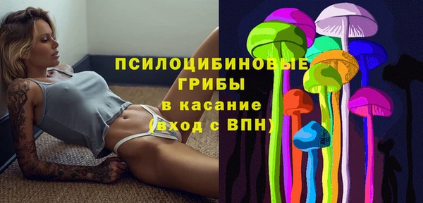 амф Ельня