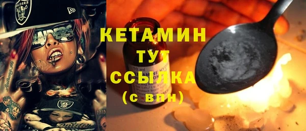 гидра Елабуга