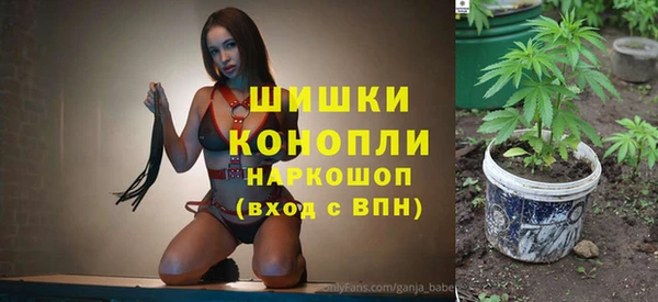 гидра Елабуга