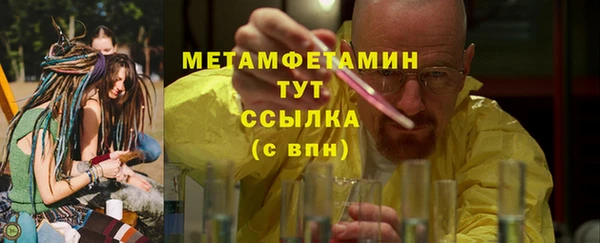 гидра Елабуга