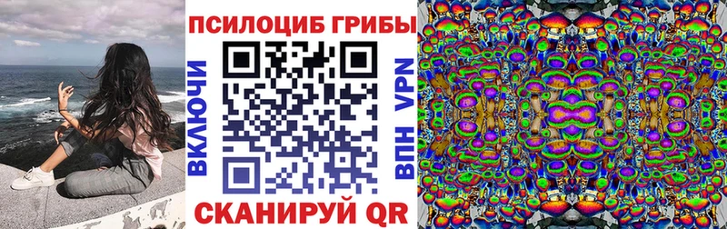 Псилоцибиновые грибы Cubensis  Купить  Белая Калитва 